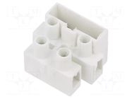 Connector: terminal block; 450V; screw terminal; Contacts: brass BM GROUP
