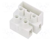 Connector: terminal block; 450V; screw terminal; Contacts: brass BM GROUP