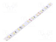 LED tape; white warm; 24V; LED/m: 70; 8mm; IP20; 120°; 4.8W/m KLUŚ