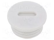 Stopper; PG7; IP56; polyamide; light grey; Thread: PG; 6mm; -25÷60°C BM GROUP