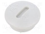 Stopper; PG9; IP56; polyamide; light grey; Thread: PG; 6mm; -25÷60°C BM GROUP