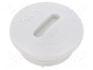 Stopper; PG9; IP56; polyamide; light grey; Thread: PG; 6mm; -25÷60°C BM GROUP