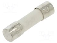 Fuse: fuse; 10A; 250VAC; time-lag; ceramic,cylindrical; 5x20mm; 215 LITTELFUSE