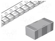 Filter: anti-interference; 1uF; 5mΩ; SMD; 100VDC; 6A; ±20%; 1206 TDK