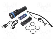 Torch: LED diving; L: 156.2mm; 60lm,200lm,650lm,1600lm; Ø: 33÷46mm XTAR