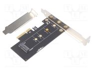 PC extension card: PCIe; M.2,PCIe; brackets on slot GEMBIRD