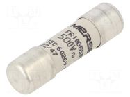 Fuse: fuse; 1A; 500VAC; 250VDC; gG; ceramic,cylindrical,industrial MERSEN