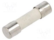 Fuse: fuse; time-lag; 2.5A; 250VAC; ceramic,cylindrical; 5x20mm EATON/BUSSMANN