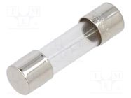 Fuse: fuse; time-lag; 1A; 250VAC; cylindrical,glass; 5x20mm; brass EATON/BUSSMANN