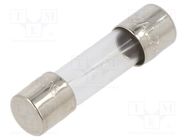 Fuse: fuse; time-lag; 2A; 250VAC; cylindrical,glass; 5x20mm; brass EATON/BUSSMANN