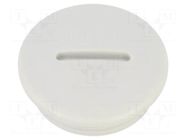 Stopper; PG21; IP56; polyamide; light grey; Thread: PG; 8mm BM GROUP