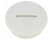 Stopper; PG21; IP56; polyamide; light grey; Thread: PG; 8mm BM GROUP