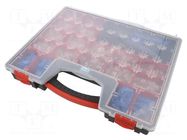 Kit: designed for terminal crimping; box BM GROUP