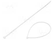 Cable tie; L: 550mm; W: 9mm; natural; polyamide; 800N; Ømax: 163.5mm BM GROUP