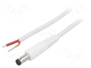 Cable; 1x1mm2; wires,DC 5,5/1,7 plug; straight; white; 0.5m WEST POL