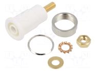Connector: 4mm banana; socket; 32A; grey; gold-plated; M4,screw STÄUBLI