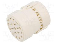 Connector: M23; contact insert; PIN: 19(3+16); female; for cable HUMMEL