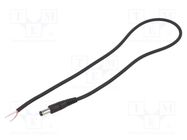 Cable; 1x0.75mm2; wires,DC 5,5/2,1 plug; straight; black; 0.5m WEST POL
