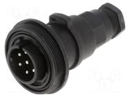 Connector: circular; plug; male; PIN: 7; 5A; 250V; IP68; UL94V-0 BULGIN