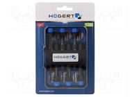 Precision; Phillips,slot; 6pcs; Screwdriver: precision-set HÖGERT TECHNIK
