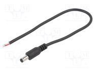 Cable; 2x0.5mm2; wires,DC 5,5/2,1 plug; straight; black; 0.25m BQ CABLE