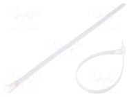 Cable tie; multi use; L: 250mm; W: 7.2mm; natural; polyamide QOLTEC
