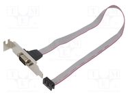 Transition: adapter; 10pin IDC,D-Sub 9pin plug; 0.4m; Cablexpert GEMBIRD