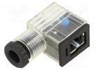 Plug for coil; PIN: 3; natural (transparent); 24V; A: 20.8mm PNEUMAT