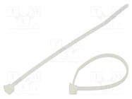 Cable tie; L: 100mm; W: 2.5mm; natural; polyamide; 89N; Ømax: 13mm HELLERMANNTYTON