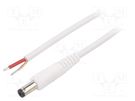 Cable; 1x1mm2; wires,DC 5,5/2,1 plug; angled; white; 1.5m WEST POL