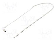 Cable; 2x0.35mm2; wires,DC 5,5/2,1 plug; angled; white; 0.5m WEST POL