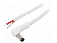 Cable; 1x1mm2; wires,DC 5,5/2,5 plug; angled; white; 1.5m WEST POL