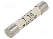 Fuse: fuse; 1A; 500VAC; 400VDC; time-lag; ceramic,cylindrical; SHT SCHURTER