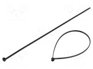 Cable tie; with a metal clasp; L: 200mm; W: 2.5mm; black; polyamide BM GROUP