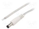 Cable; 2x0.5mm2; wires,DC 5,5/2,1 plug; straight; transparent; 3m BQ CABLE