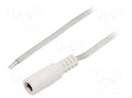 Cable; 2x0.5mm2; wires,DC 5,5/2,5 socket; straight; transparent BQ CABLE