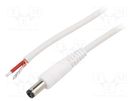 Cable; 1x1mm2; wires,DC 5,5/2,5 plug; straight; white; 0.5m WEST POL