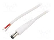 Cable; 1x1mm2; wires,DC 5,5/2,5 plug; straight; white; 0.5m WEST POL