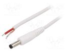 Cable; 1x1mm2; wires,DC 4,8/1,7 plug; straight; white; 1.5m WEST POL