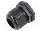 Cable gland; PG29; IP66,IP68; polyamide; black; 10pcs. ALPHA WIRE
