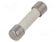 Fuse: fuse; 10A; 250VAC; ultra rapid; ceramic,cylindrical; 5x20mm SCHURTER