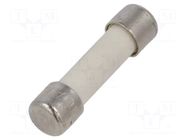 Fuse: fuse; 10A; 250VAC; ultra rapid; ceramic,cylindrical; 5x20mm SCHURTER