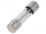 Fuse: fuse; 630mA; 250VAC; time-lag; cylindrical,glass; 5x20mm; FTT SCHURTER