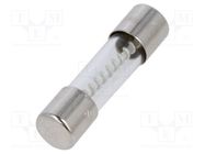 Fuse: fuse; time-lag; 4A; 250VAC; cylindrical,glass; 5x20mm; copper SCHURTER
