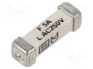 Fuse: fuse; quick blow; 5A; 250VAC; 125VDC; SMD; ceramic; 3x10.1mm SCHURTER