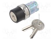 Switch: rotary with key; 22mm; Stabl.pos: 3; silver; none; IP67 