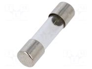 Fuse: fuse; 1A; 220VAC; quick blow; cylindrical,glass; 5x20mm; D1 SCHURTER