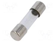 Fuse: fuse; 10A; 32VAC; quick blow; cylindrical,glass; 5x20mm; D1 SCHURTER