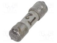 Fuse: fuse; time-lag; 2.5A; 125VAC; 125VDC; ceramic,cylindrical SCHURTER