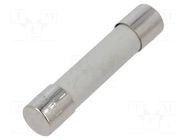 Fuse: fuse; 6.3A; 500VAC; ultra rapid; ceramic,cylindrical; A12FA SCHURTER